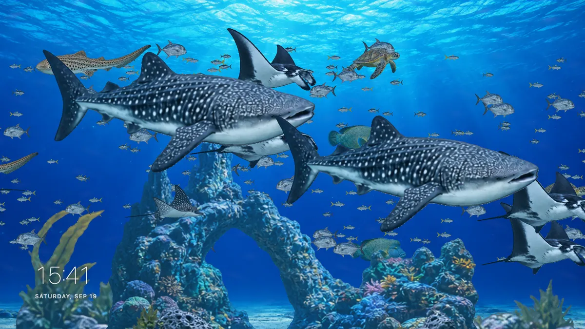 Ein großes Aquarium direkt hinter Ihrem Desktop.