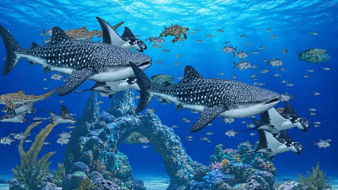 Churina Blue