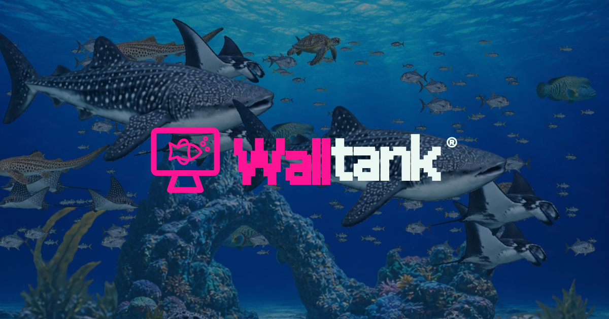 Walltank.app